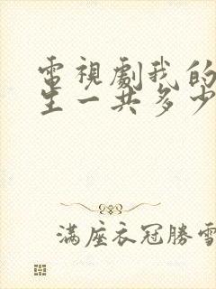 电视剧我的后半生一共多少集封面