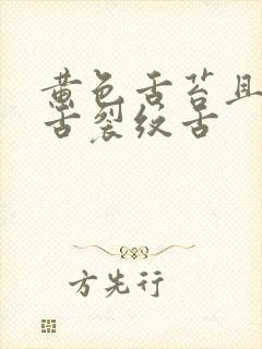 黄色舌苔且齿痕舌裂纹舌