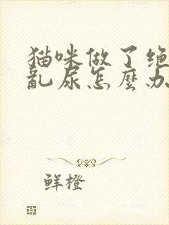 猫咪做了绝育还乱尿怎么办封面