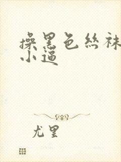 操黑色丝袜欧美小逼