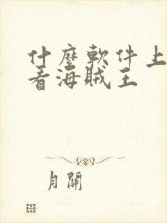 什么软件上可以看海贼王