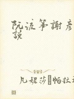 阮流筝谢彦的小说