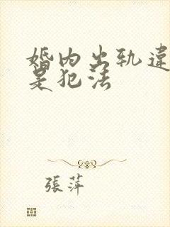 婚内出轨违法还是犯法