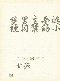 双男主受逃跑后被囚禁的小说推荐