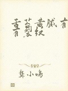 舌苔黄腻有齿痕有裂纹