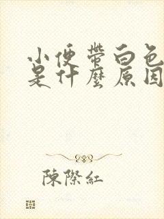 小便带白色液体是什么原因