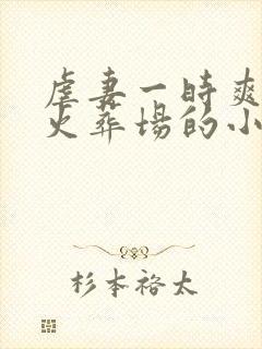 虐妻一时爽追妻火葬场的小说封面