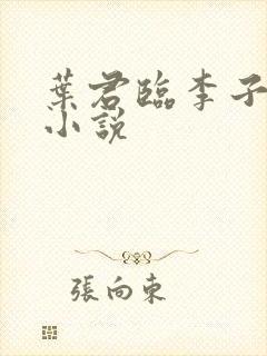 叶君临李子染的小说封面