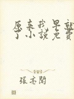 原来我早就无敌了小说免费封面