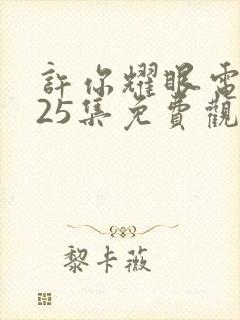 许你耀眼电视剧25集免费观看