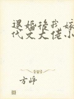 退婚后我嫁给年代文大佬小说