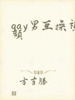 gay男互操视频