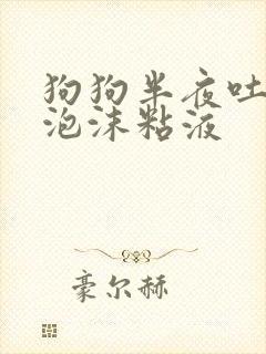 狗狗半夜吐白色泡沫粘液