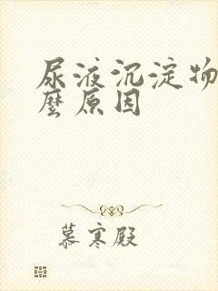 尿液沉淀物是什么原因