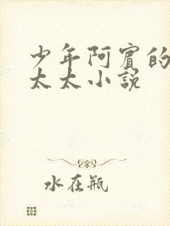 少年阿宾的房东太太小说