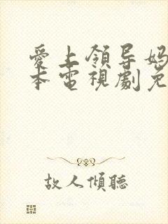 爱上领导妈妈日本电视剧免费观看