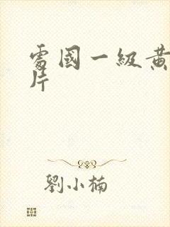 处国一级黄色大片