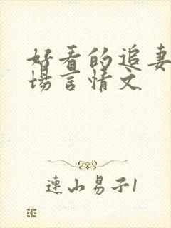 好看的追妻火葬场言情文