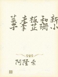 菜老板和新婚妻子李芷珊小说