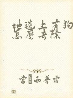 地毯上有狗尿味怎么去除