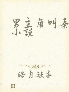 男主角叫秦峰的小说封面