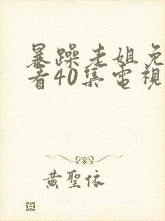 暴躁老姐免费观看40集电视剧