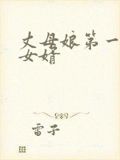 丈母娘第一次见女婿