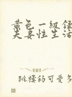 黄色一级录像厅夫妻性生活大片