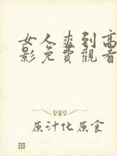 女人爽到高潮电影免费观看