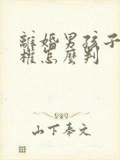 离婚男孩子抚养权怎么判