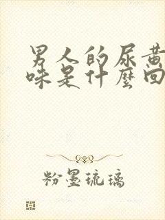 男人的尿黄 有味是什么回事