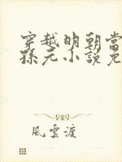 穿越明朝当老大孙元小说免费阅读