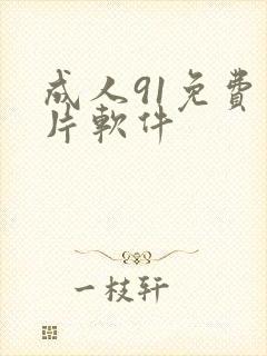 成人91免费看片软件