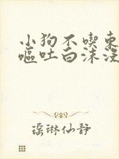 小狗不吃东西还呕吐白沫没精神怎么办封面