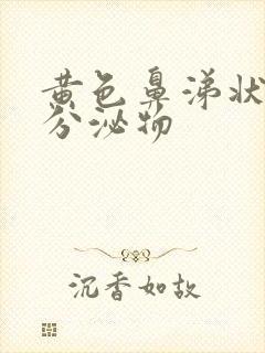 黄色鼻涕状阴道分泌物