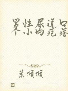 男性尿道口内长个小肉疙瘩是怎么回事