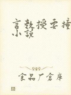 言教授要撞坏了小说