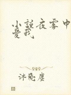 小说夜雾中无人爱我