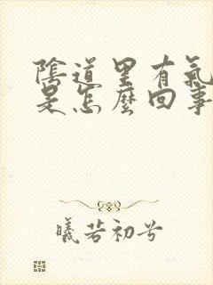 阴道里有气出来是怎么回事封面