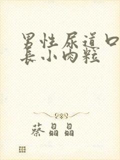 男性尿道口两边长小肉粒