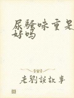 尿骚味重是肾不好吗