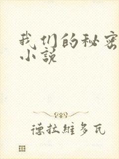 我们的秘密泰剧小说