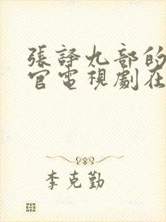 张译九部的检察官电视剧在线观看免费