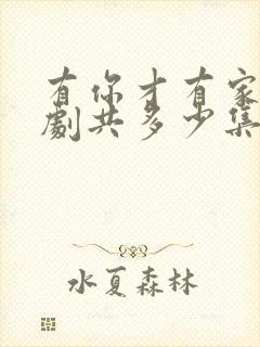 有你才有家电视剧共多少集