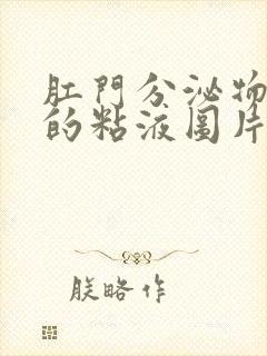 肛门分泌物发黄的粘液图片封面