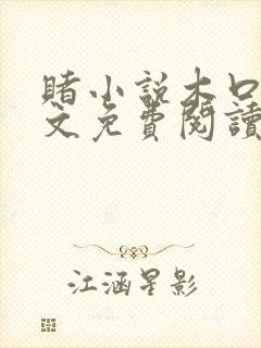 赌小说木口银全文免费阅读笔趣阁