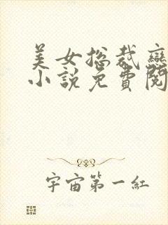 美女总裁恋上我小说免费阅读封面