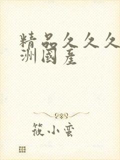 精品久久久久亚洲国产