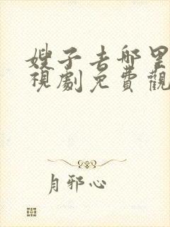 嫂子去哪里了电视剧免费观看全集封面