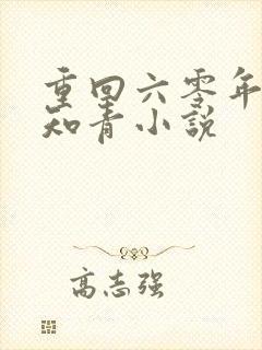 重回六零年代当知青小说封面